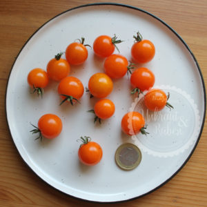 Tomate Goldita