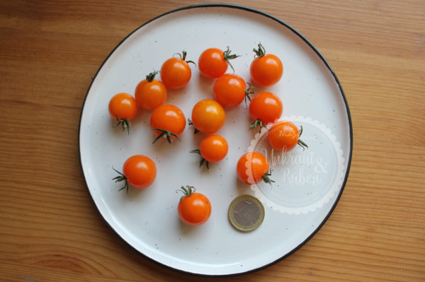 Tomate Goldita