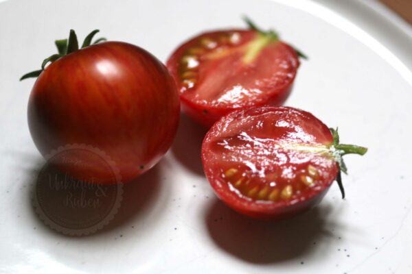 Antho Striped Dwarf Tomatensamen kaufen
