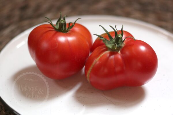 Tomate Eckert Polish Samen kaufen